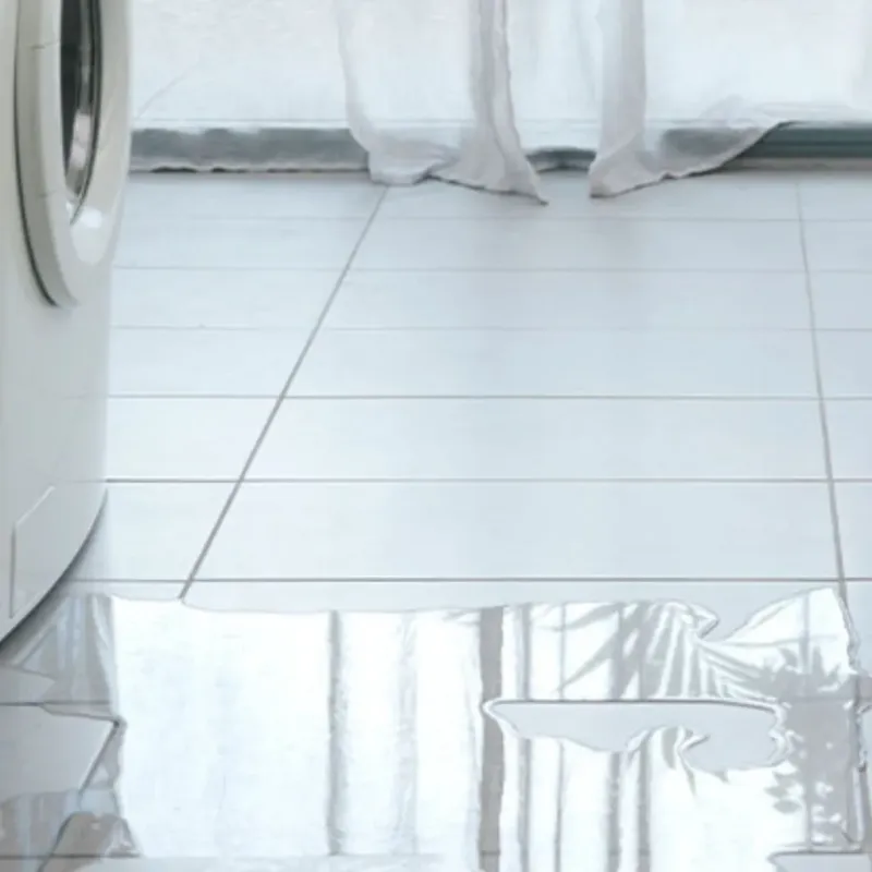 Appliance Leak Cleanup in Wixom, MI