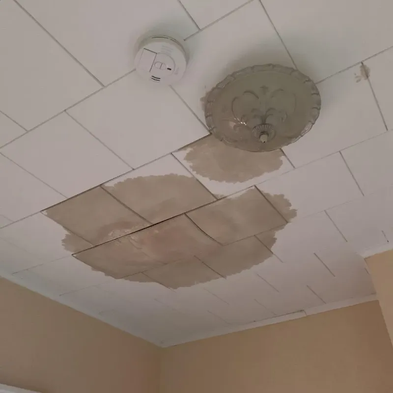 Ceiling Water Damage Repair in Wixom, MI